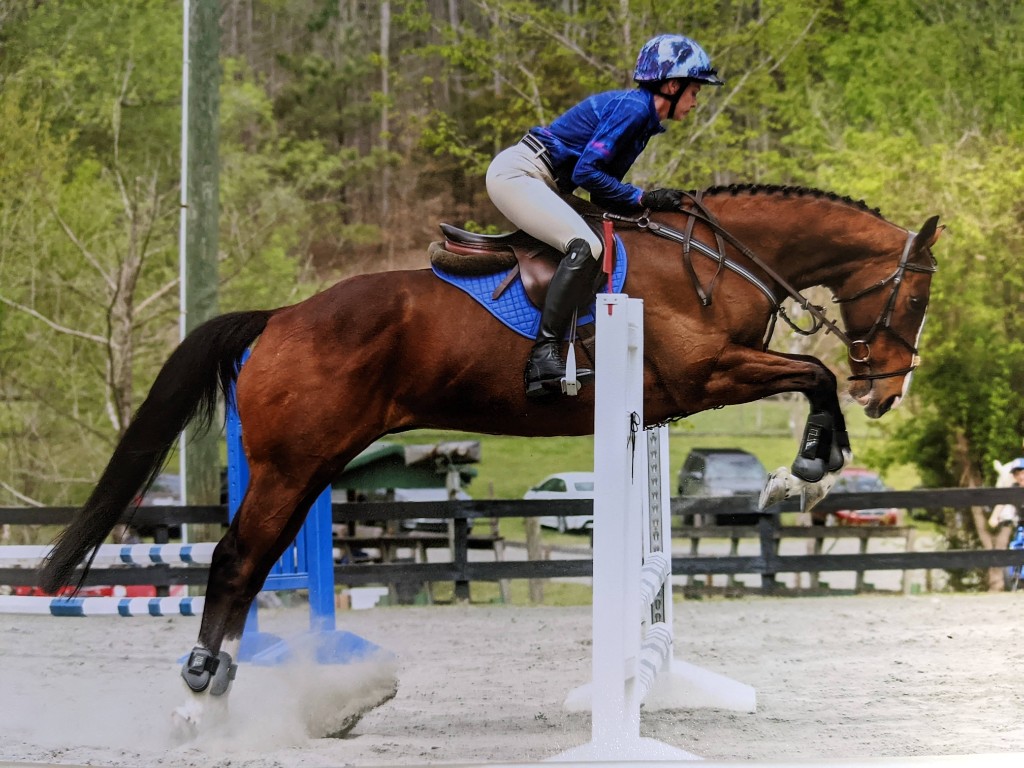 Julia show jumping on a bay horse