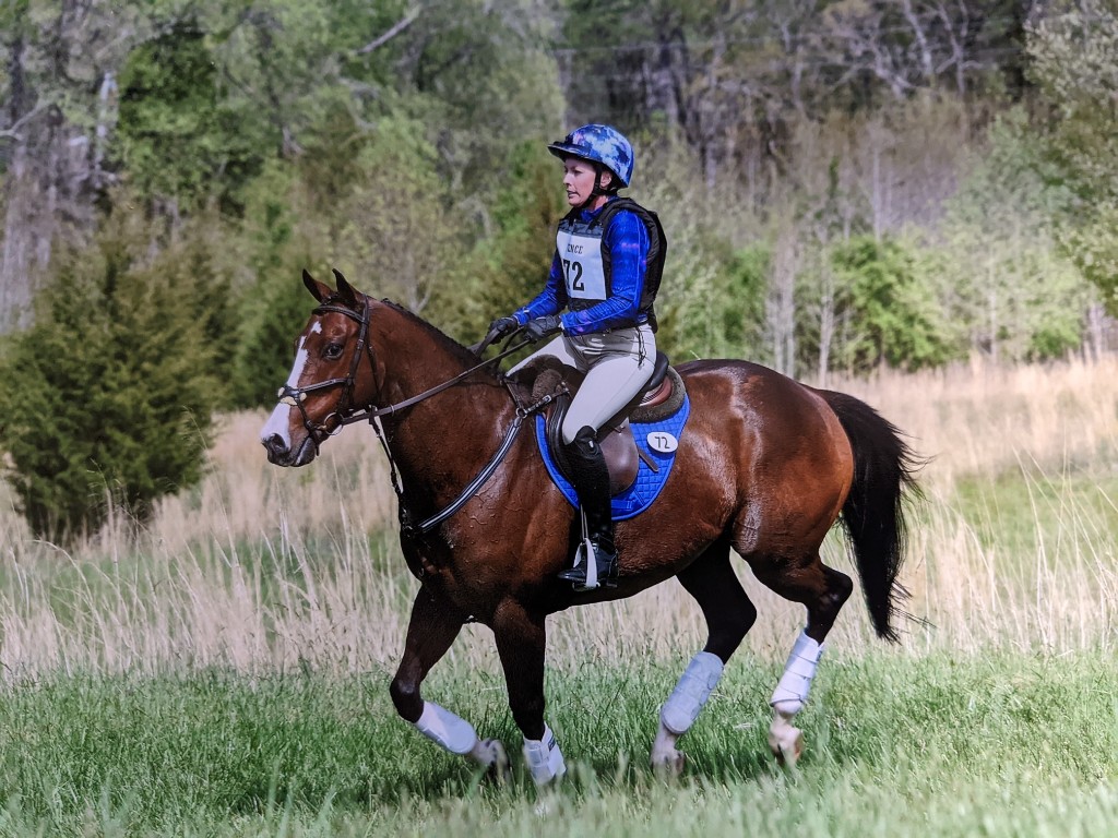 Julia riding cross-country on a bay horse