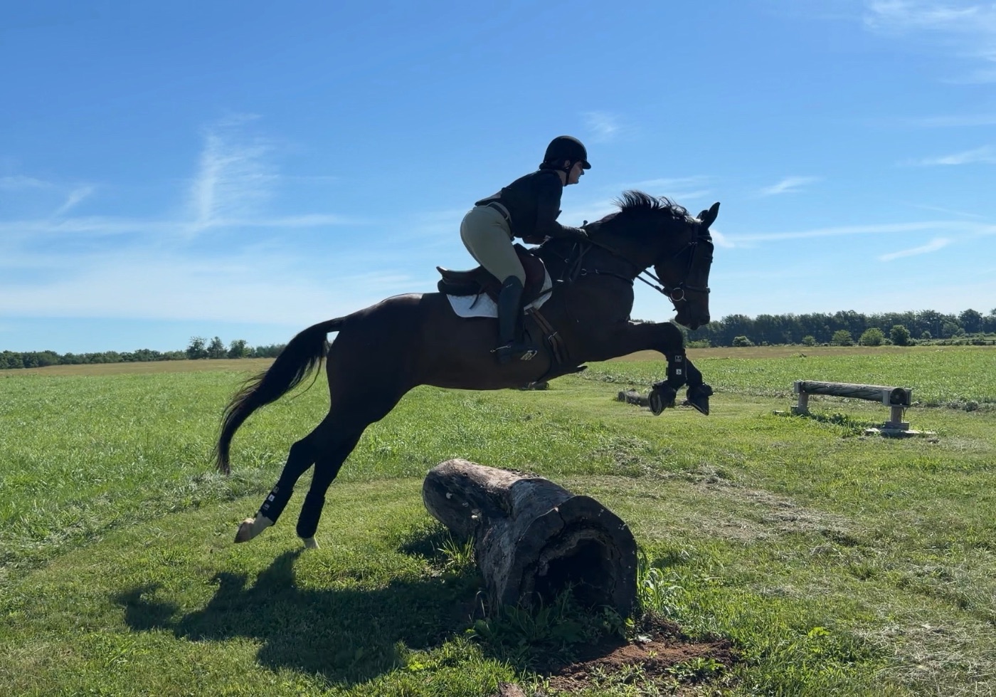 Marina and her horse mid-flight over a cross-country log